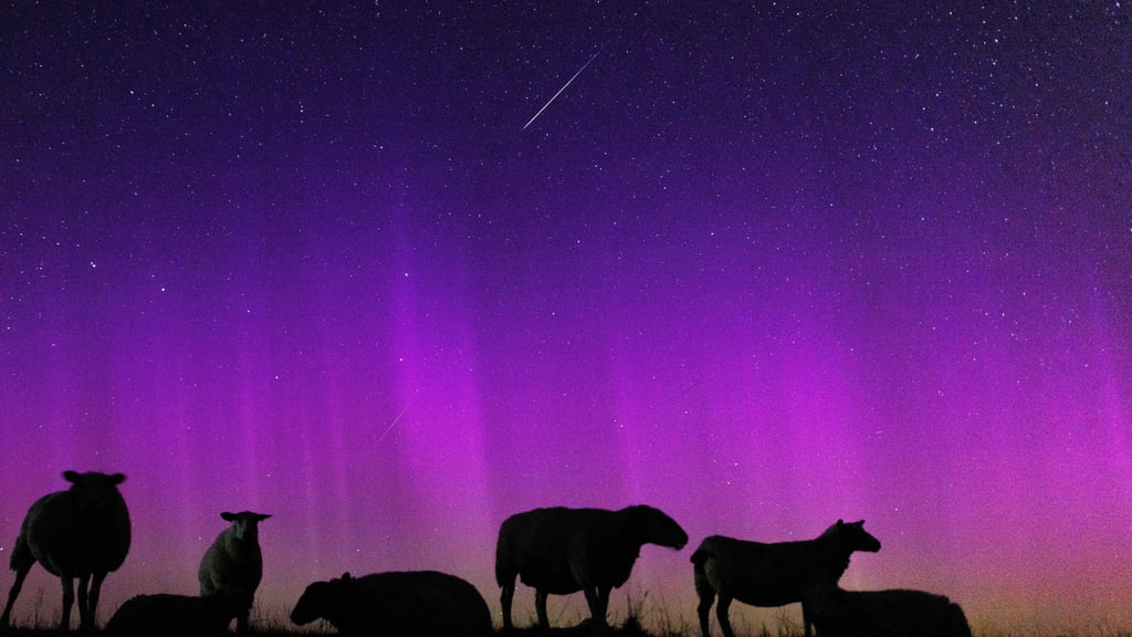 Bald können die Menschen in Sachsen-Anhalt wieder die Perseiden beobachten.