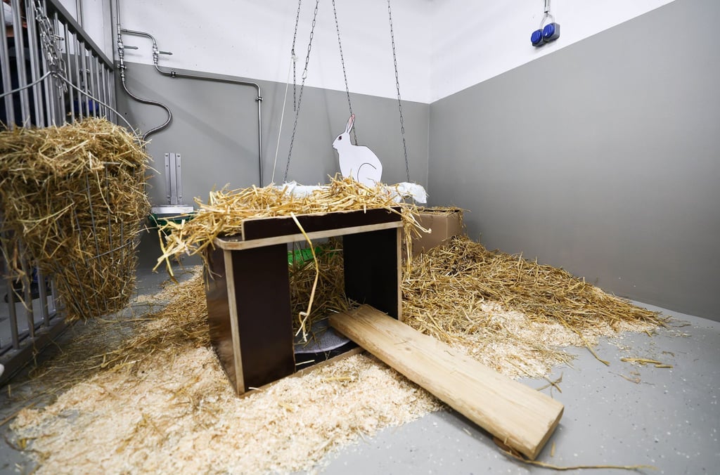 Kaninchen gehören nach Mäusen, Fischen und Ratten zu den häufigsten Versuchstieren.