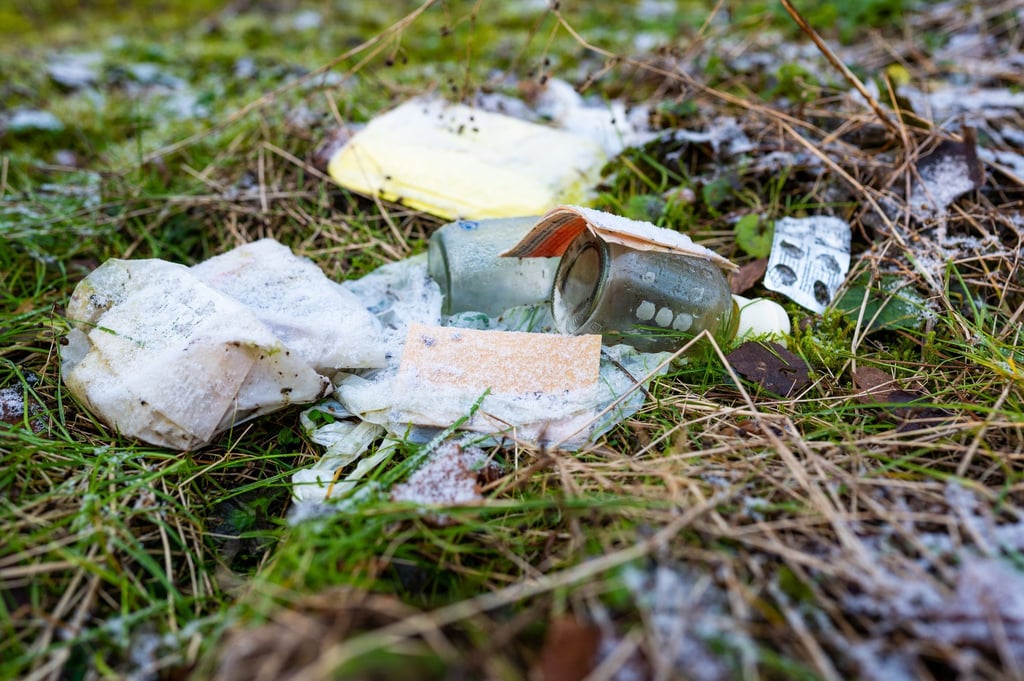 Immer mehr Müll findet sich in den niedersächsischen Wäldern. Naturschützer sind besorgt. (Archivfoto)