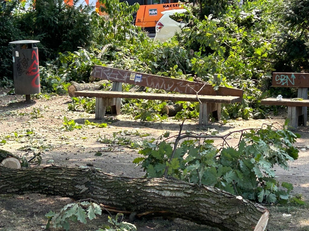 Äste liegen im Ottopark in Berlin neben einer zerstörten Bank. Ein Mann wurde davon getroffen und lebensgefährlich verletzt.