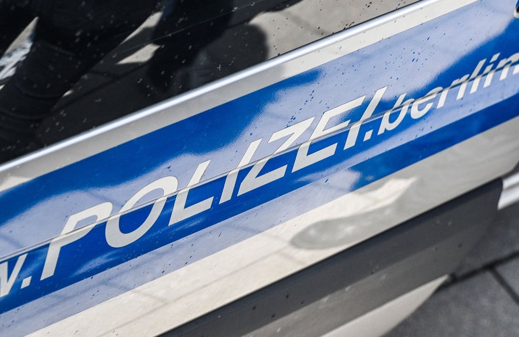 Bei einer Pro-Palästina-Demonstration sind etwa zehn Beamte verletzt worden. (Symbolbild)