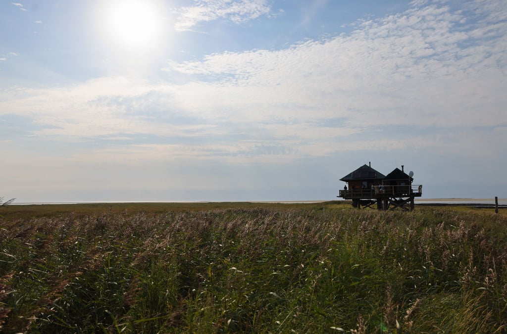 Die sogenannten Vogelinseln und -halligen in Nord- und Ostsee sind Natur- und Vogelschutzgebiete, die wenn überhaupt nur mit Ausnahmegenehmigung betreten werden dürfen.