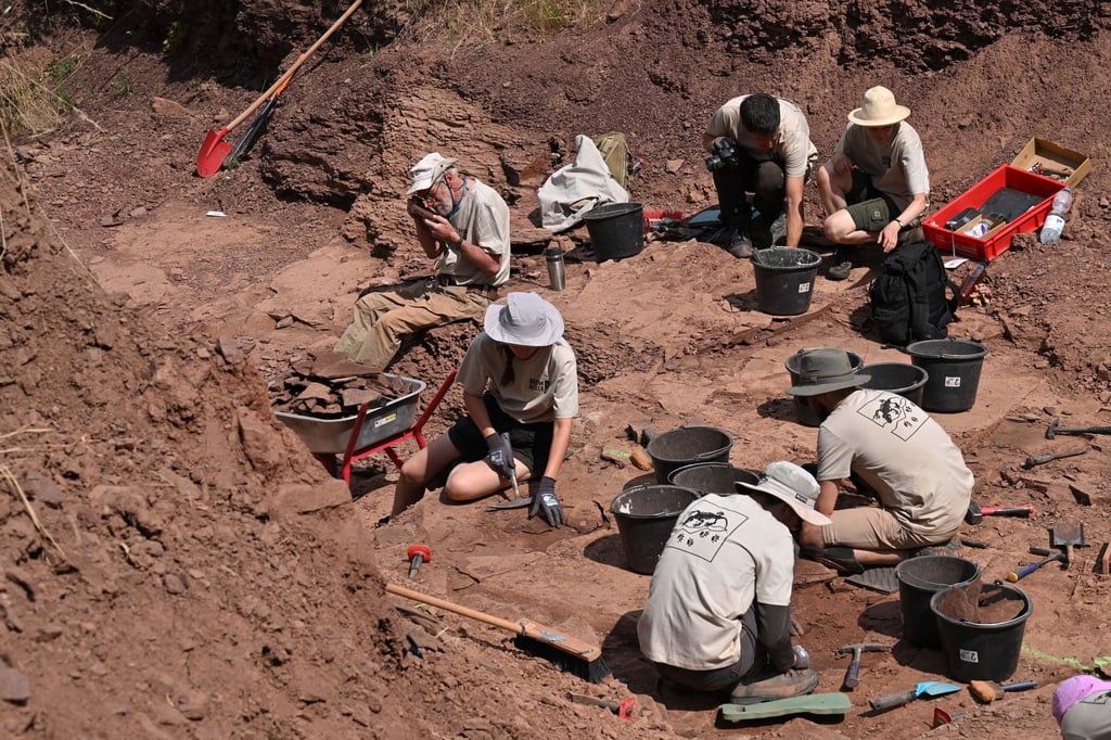 In diesem Jahr bargen die Forscher auch ein kleines Schädelfragment sowie Fossilien von Muschelschalerkrebsen. (Archivbild)
