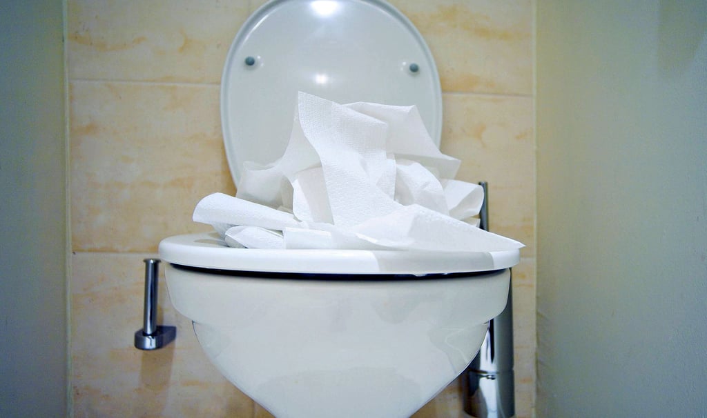 Toilettenpapier ja – Feuchttücher, Binden, Tampons, Kondome, Slips und Wattestäbchen: Nein. Letztere haben nichts in der Toilette zu suchen. Sie sorgen für Verstopfungen und Probleme.