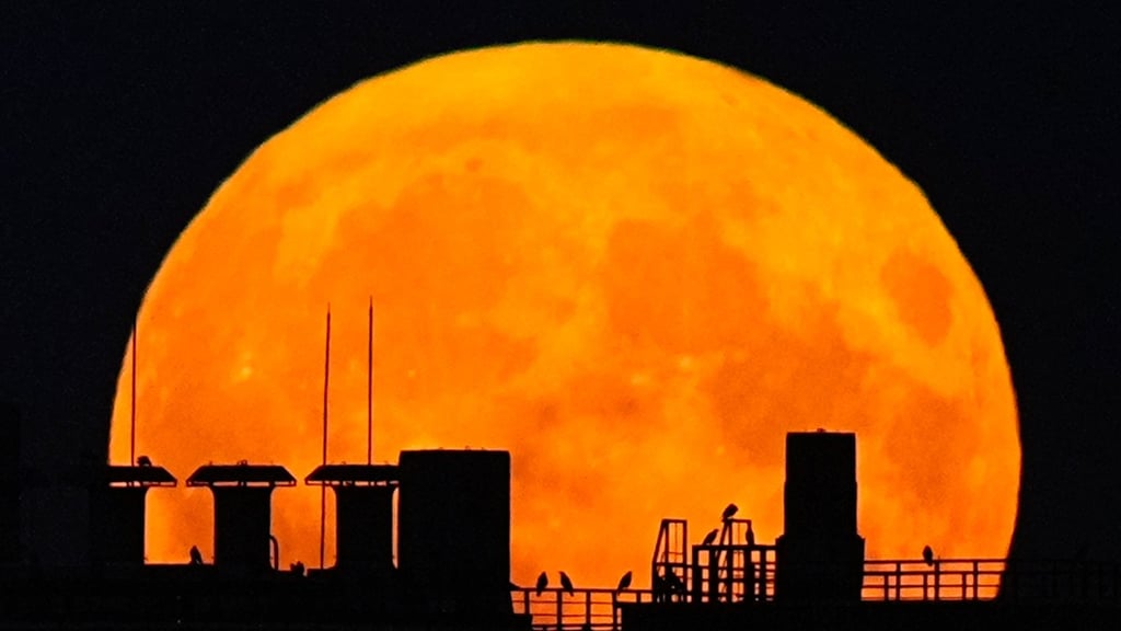 Nach Sonnenuntergang steht am Mittwochabend ein Supermond am Himmel.&nbsp;