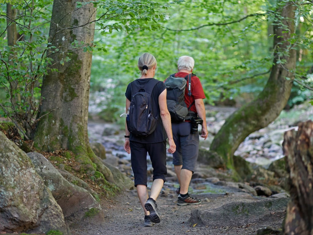 Die Sperrung eines Teilstücks des Heinrich-Heine-Weges im Ilsetal im Harz bleibt auch nach dem Abriss einer beschädigten Brücke aufrechterhalten.