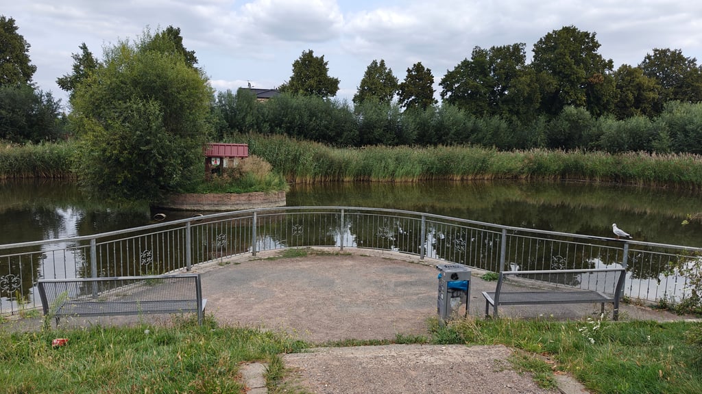 Großer Teich in Bitterfeld