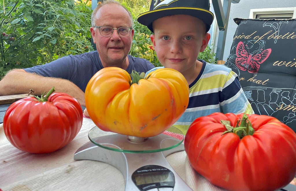 Thomas Viets und Enkel Wilhelm mit einem Teil der Tomatenernte 2024 in Genthin.