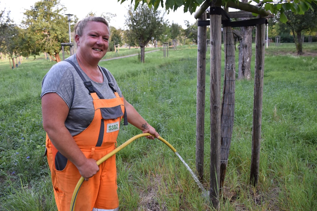 Petra Pitzschel ist seit fast 20 Jahren Gärtnerin bei der Stadtreinigungs- und Servicebetrieb der Stadt Zeitz GmbH. Bäume auf der Obstplantage in Zeitz erhalten jeweils 75 Liter Wasser.
