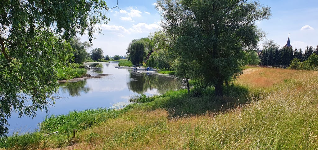 Wird sich die Wasserlandschaft rund um Vehlgast durch ein vom Nabu geplantes Projekt verändern?