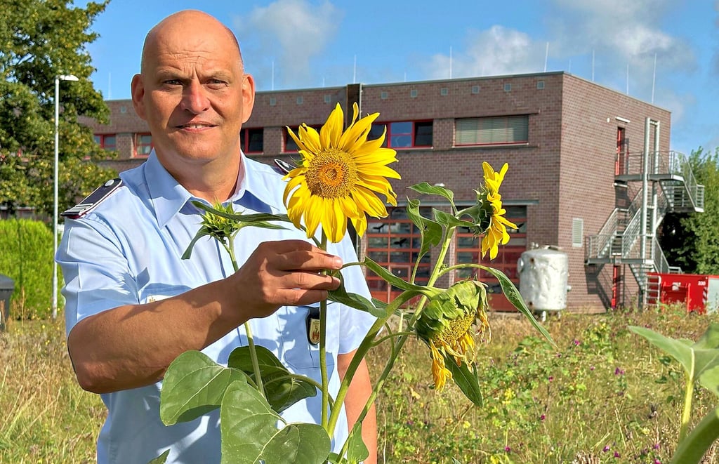 Die Sonnenblumen auf der Wildblumenwiese vor der Feuerwache Süd sind bald so groß wie Leiter Steffen Kaden.