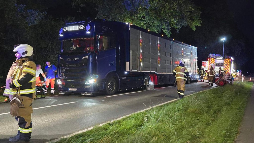 Ein 74-Jähriger kommt bei einem Unfall mit seinem E-Bike ums Leben.