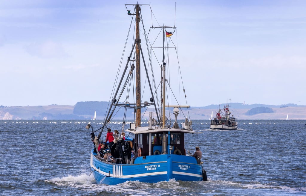 Fischbestände erholen sich nicht in dem Maße wie erwartet. (Symbolbild)