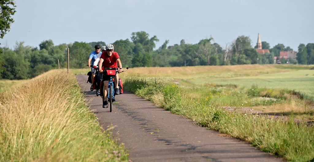 Mehrere überregionale Radwege führen durch Elbe-Parey.