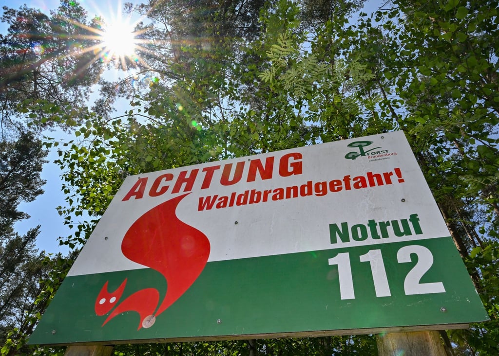 Es herrscht höchste Waldbrandgefahr in weiten Teilen des Landes. (Archivbild)