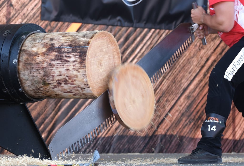 Deutschlands beste Holzfäller ermitteln am Wochenende in Klingenthal ihre Champions.