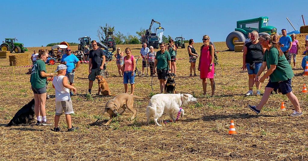 Mitglieder des Hundesportvereins Klein Wanzleben haben mit ihren Tieren in Meyendorf Kunststücke vorgeführt.
