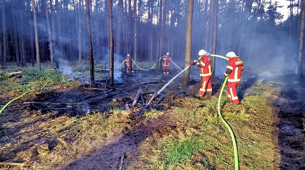 Die Feuerwehrleute waren bei Streetz im Einsatz.