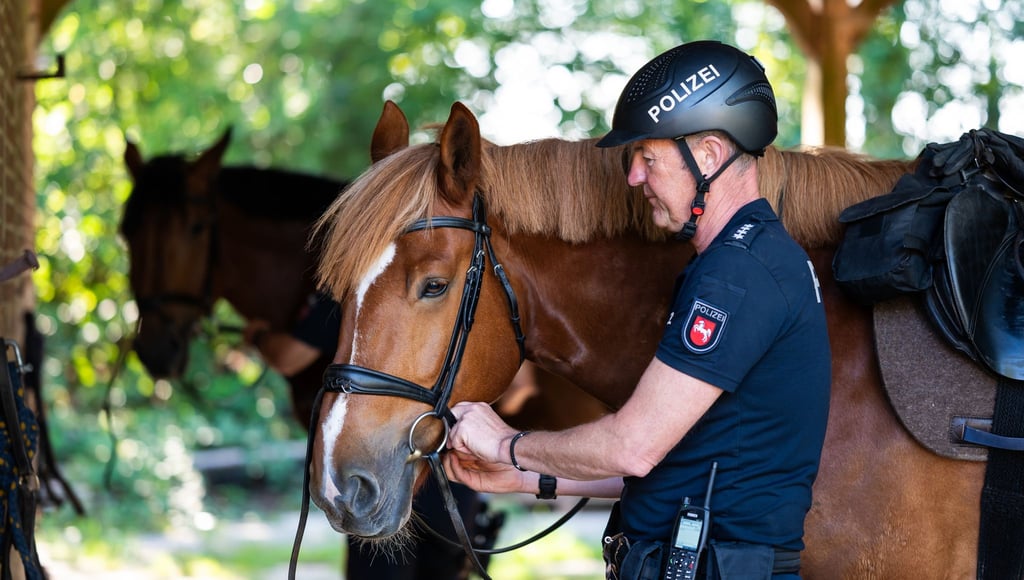 Die Polizeireiter aus Hannover achten darauf, dass sich Besucher umsichtig verhalten.