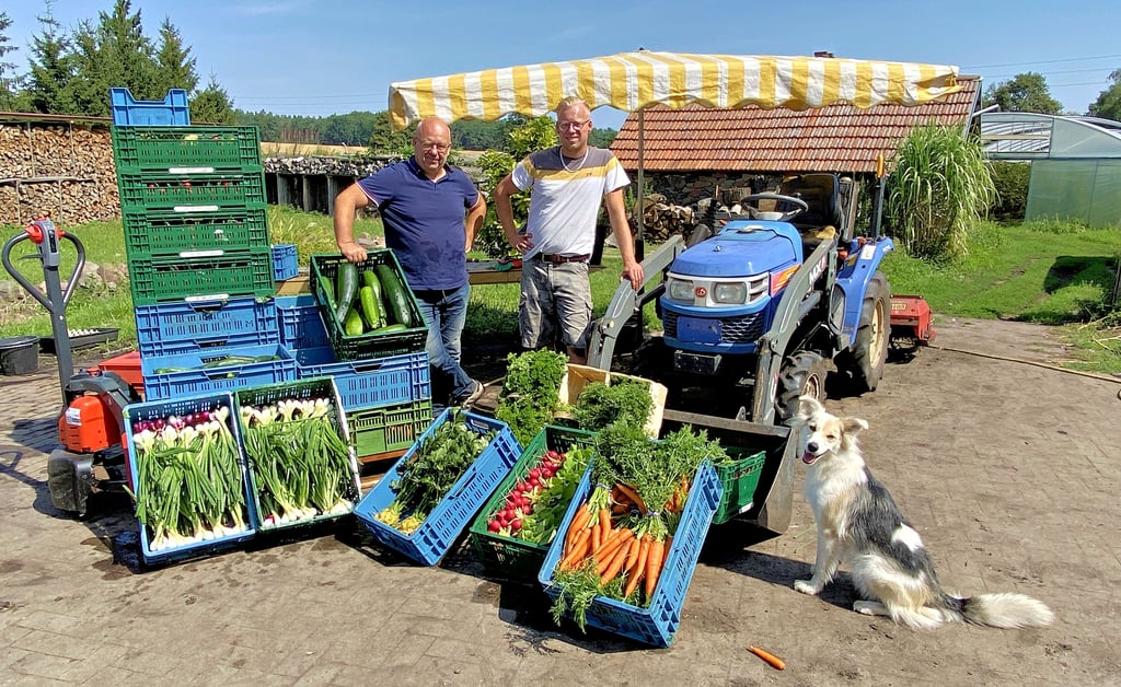 In zahlreichen Kisten lagert fast die komplette Tagesernte von Peter (l.) und Tino Burow, bevor es von Krüssau aus zu den Märkten im Jerichower Land geht. Einzig die Tomaten und Paprikas müssen noch geerntet werden.