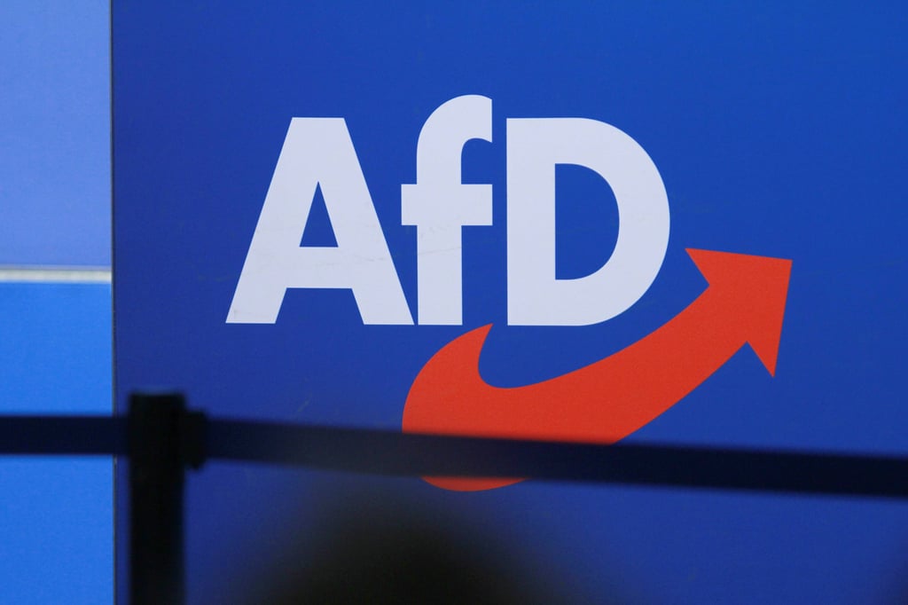 Die AfD-Spitze äußerte sich am Mittwoch zum ins Zwielicht geratenen Bundestagskandidaten Phillipp-Anders Rau.