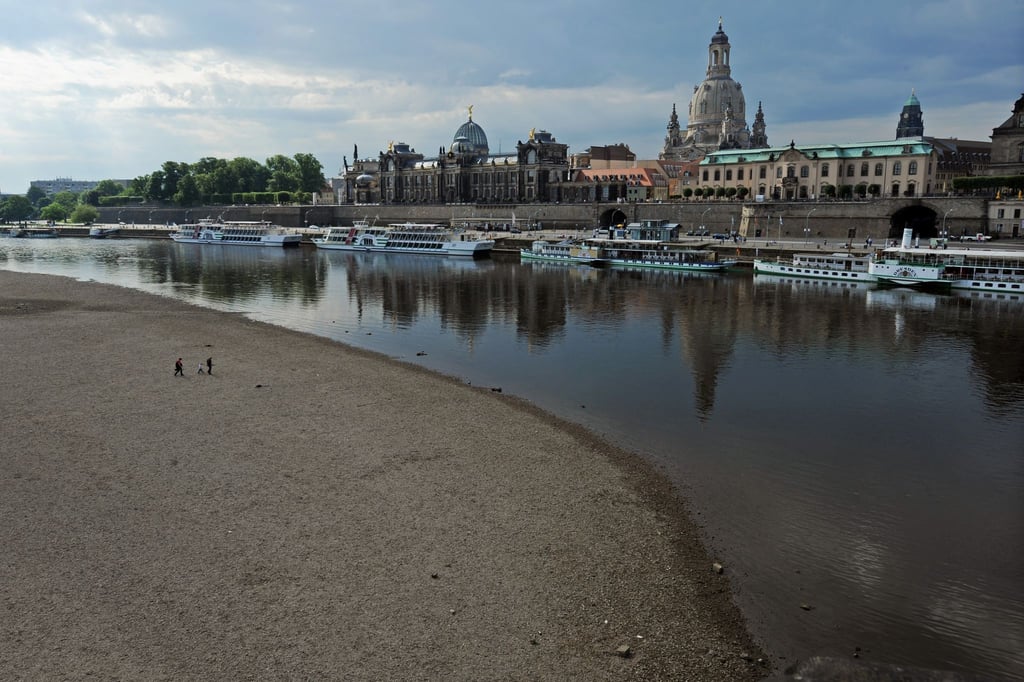 Blick auf die schmale Elbe und die Dampfer am Terrassenufer in Dresden. Archivbild