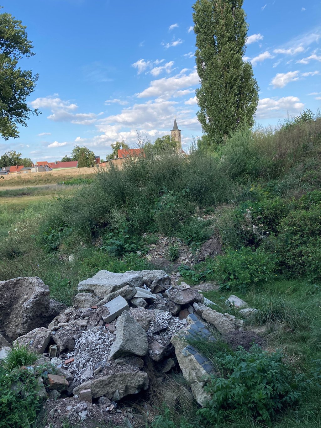 Erdaushub von den Arbeiten am Hochwasserschutzring in der Talstadt lagert seit mehr als einem Jahr mitten in der Saale-Flutmulde auf dem Waldauer Anger.