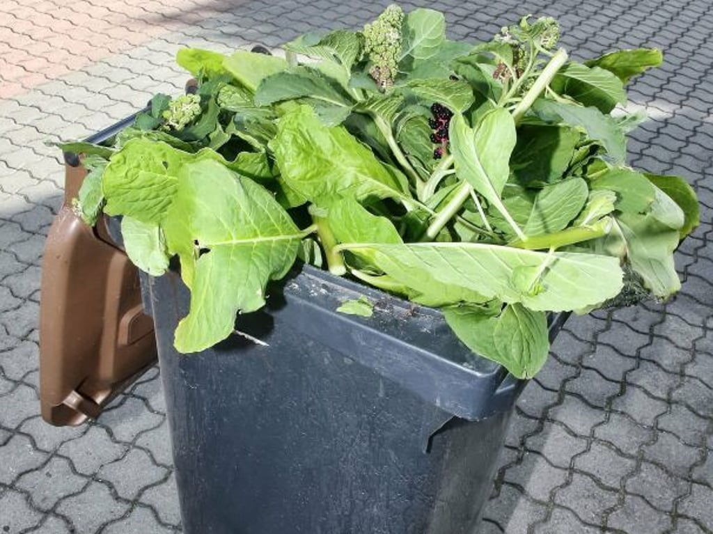 Die Debatte über die Biotonne dürfte noch weitergehen.