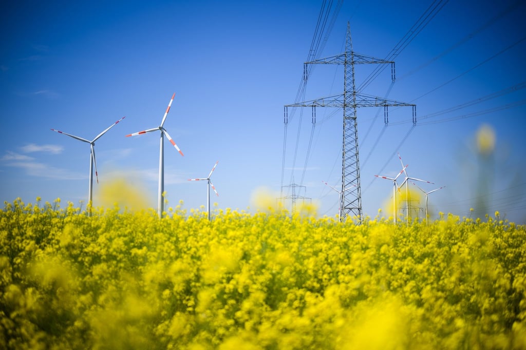 Für mehr erneuerbare Energie müssen Stromnetze ausgebaut werden.