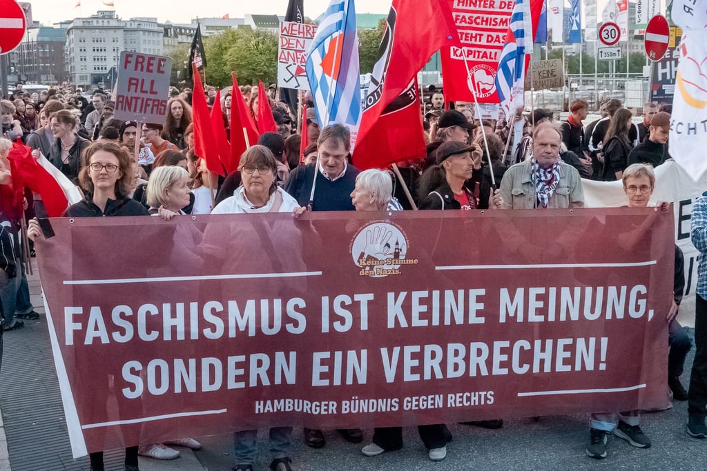 Anti-AfD-Demo in Hamburg mit Hunderten Demonstranten