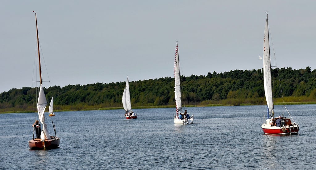 Gemeinsam ging es zur Segeltour auf den Arendsee. Mit dabei waren Mitglieder von beiden am Arendsee ansässigen Vereinen.