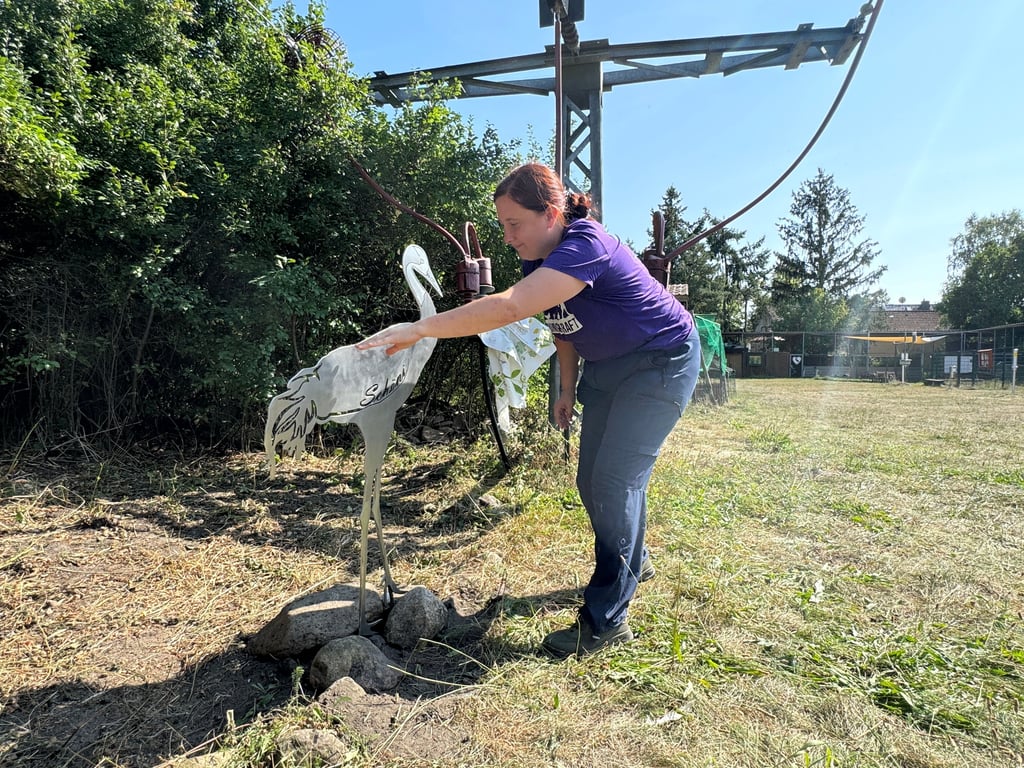 In Loburg ist dem Kranich Schöni ein Denkmal gesetzt worden.