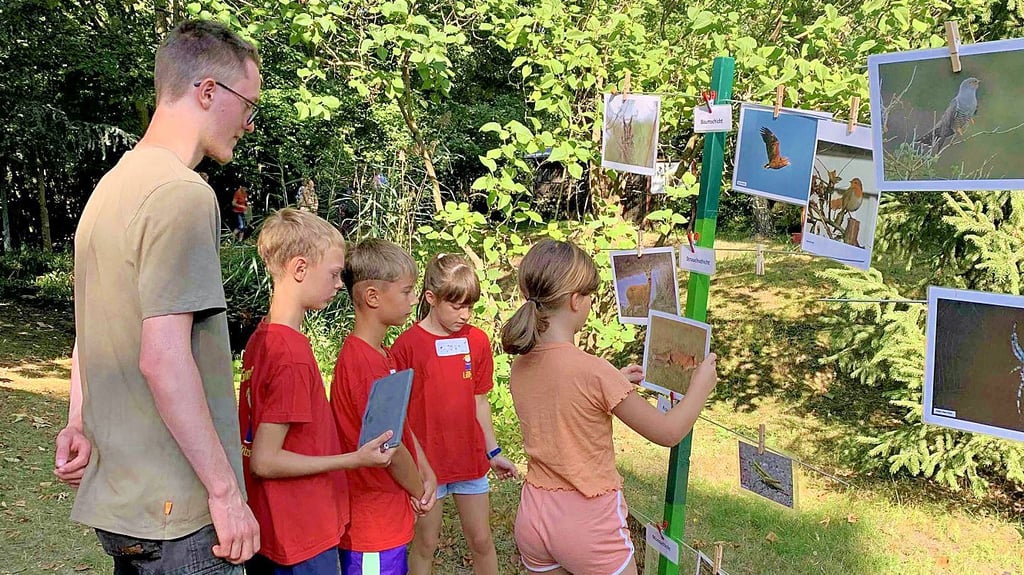 Mit Hilfe von Eik Haase - Bufdi im Haus am See – ordnen die Schüler die verschiedenen Tiere den Schichten des Waldes zu.
