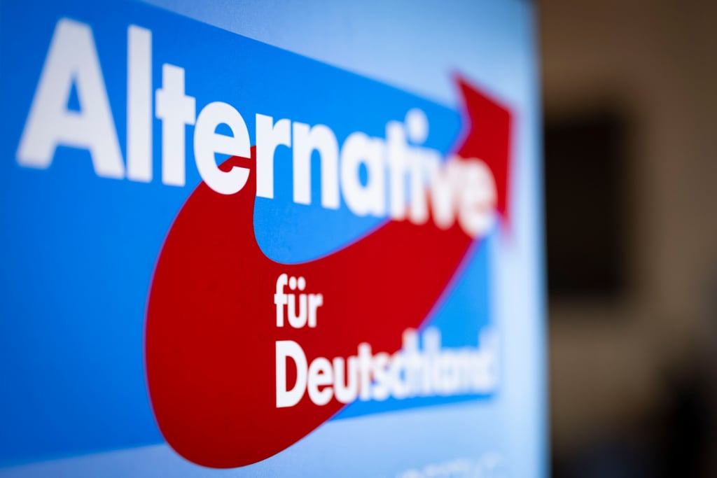 Im Zwielicht: Ein Bundestagskandidat der AfD Sachsen-Anhalt