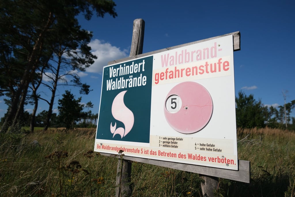 Die Waldbrandgefahr steigt in Sachsen auf die höchste Stufe.
