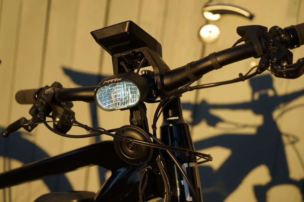 In der Schweiz gilt für E-Bikes eine Lichtpflicht, auch am Tag und auf allen öffentlichen Wegen. Bei Verstößen droht ein Bußgeld