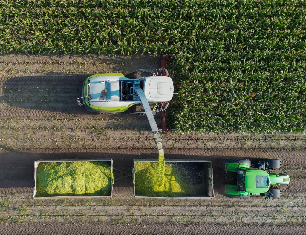 Die brandenburgischen Landwirte haben weniger Getreide eingefahren als im Vorjahr. (Archivbild)