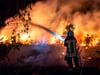 Direkt an der Waldseestraße in Gommern standen am Donnerstagabend 500 bis 600 Quadratmeter Wald in Brand.