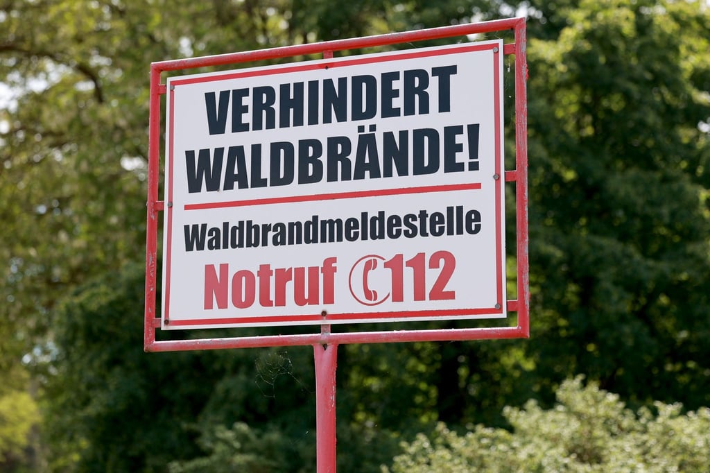 In mehreren Regionen in Sachsen-Anhalt hat es Brände in Wäldern und auf Feldern gegeben. (Archivbild)