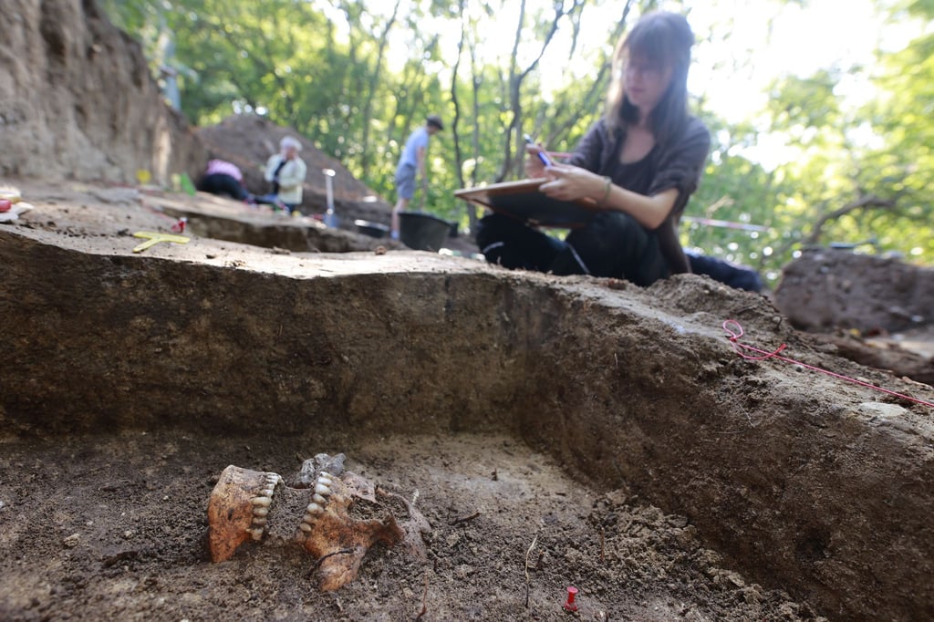 Im Harz sind Archäologinnen und Archäologen Hinrichtungen auf der Spur.