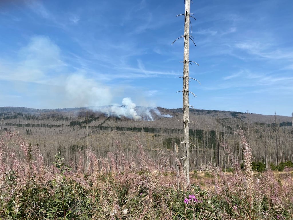 Auch an Tag zwei des Waldbrandes auf dem Brocken im Harz sind die Rauchsäulen noch kilometerweit zu sehen. Ausgebrochen ist das Feuer am Freitag, 6. September.
