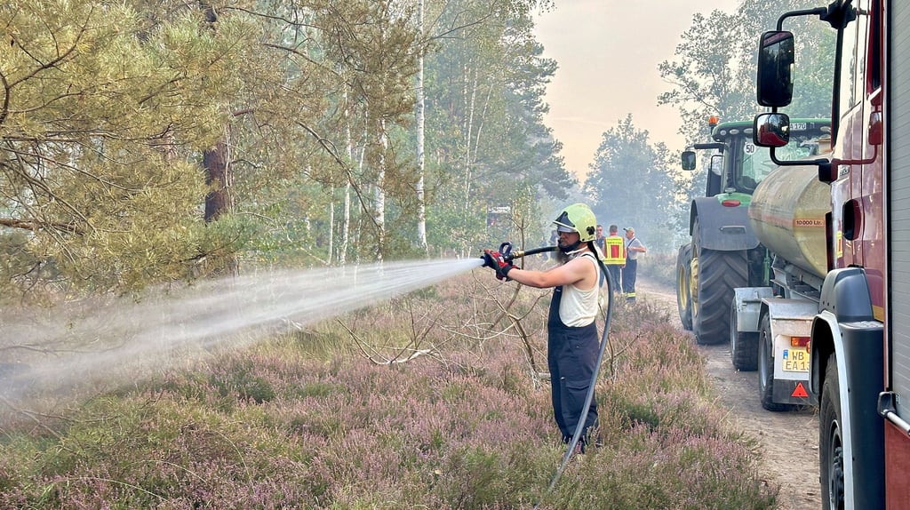 Großbrand in der Oranienbaumer Heide: Feuer bei Oranienbaum unter ...