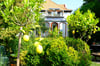 Im Harz wachsen Bananen und Zitronen: mediterranes Flair im Garten von Maika Sorge in Blankenburg.