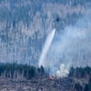 Waldbrand am Brocken im Harz: Nachdem der Waldbrand am Brocken seit Freitag von Ostwinden vorangetrieben wurde, gab es am Sonntag eine Winddrehung auf Süd. Die Folge, Glutnester wurden vom Südwind entfacht und nach Norden vorangetrieben.