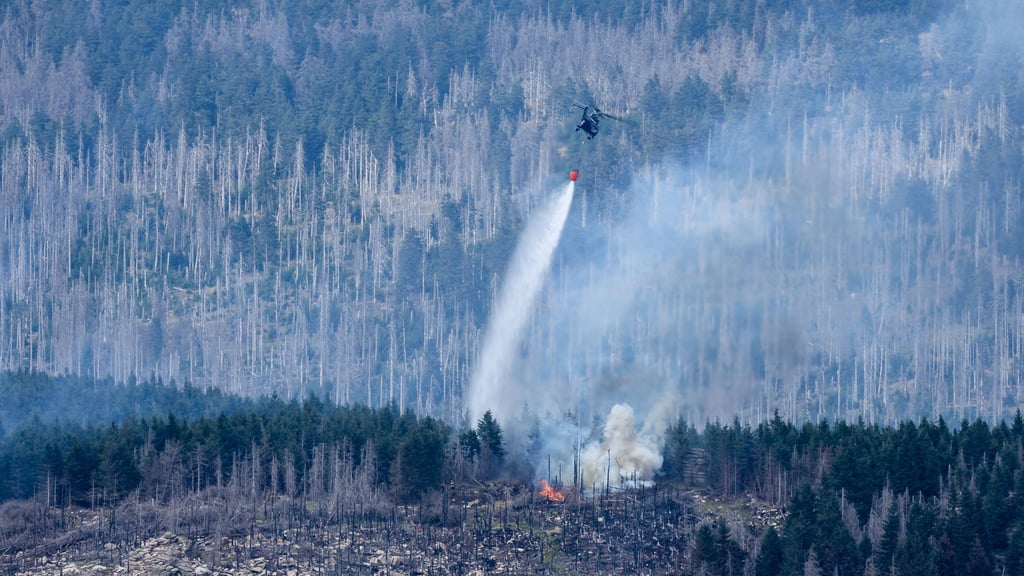 Waldbrand am Brocken im Harz: Nachdem der Waldbrand am Brocken seit Freitag von Ostwinden vorangetrieben wurde, gab es am Sonntag eine Winddrehung auf Süd. Die Folge, Glutnester wurden vom Südwind entfacht und nach Norden vorangetrieben.