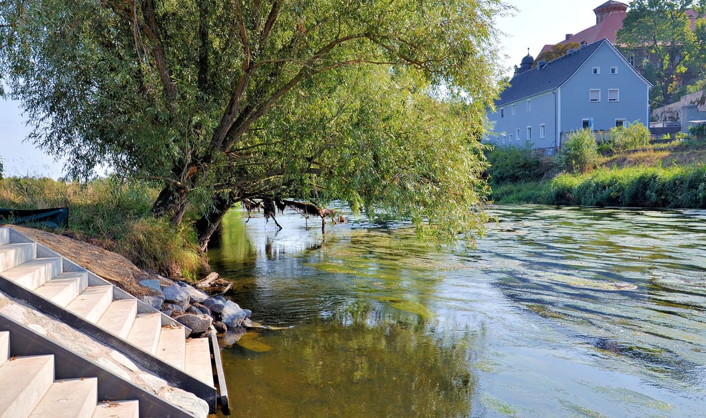 Neuer Kanu-Einstieg an der Bodebrücke in Hohenerxleben. Wassertouristen haben hier angesichts des Bewuchses allerdings stark zu kämpfen.