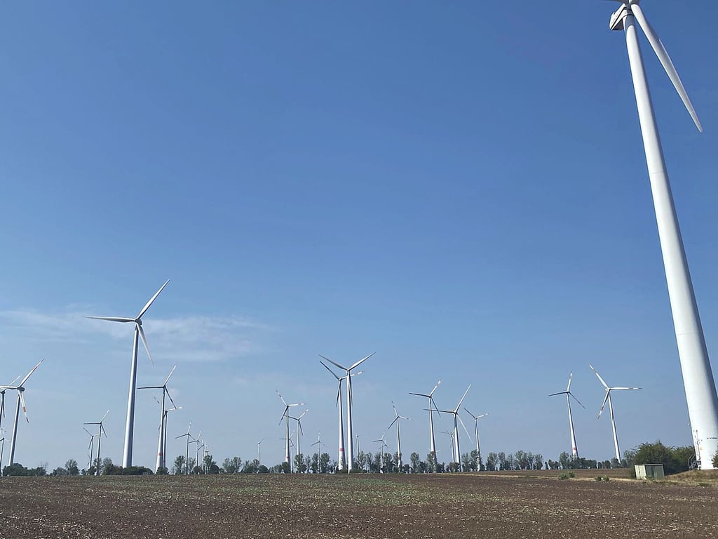 Windpark zwischen Biere und Borne: Energie für die Wärmeversorgung. 