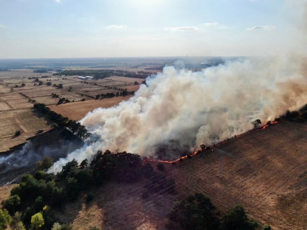 Blick von oben auf den Ödlandbrand an der B1 bei Möser.