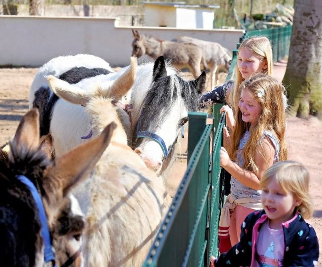 Rund 1.640 Tiere von 200 Arten können Besucher im Tierpark erleben.