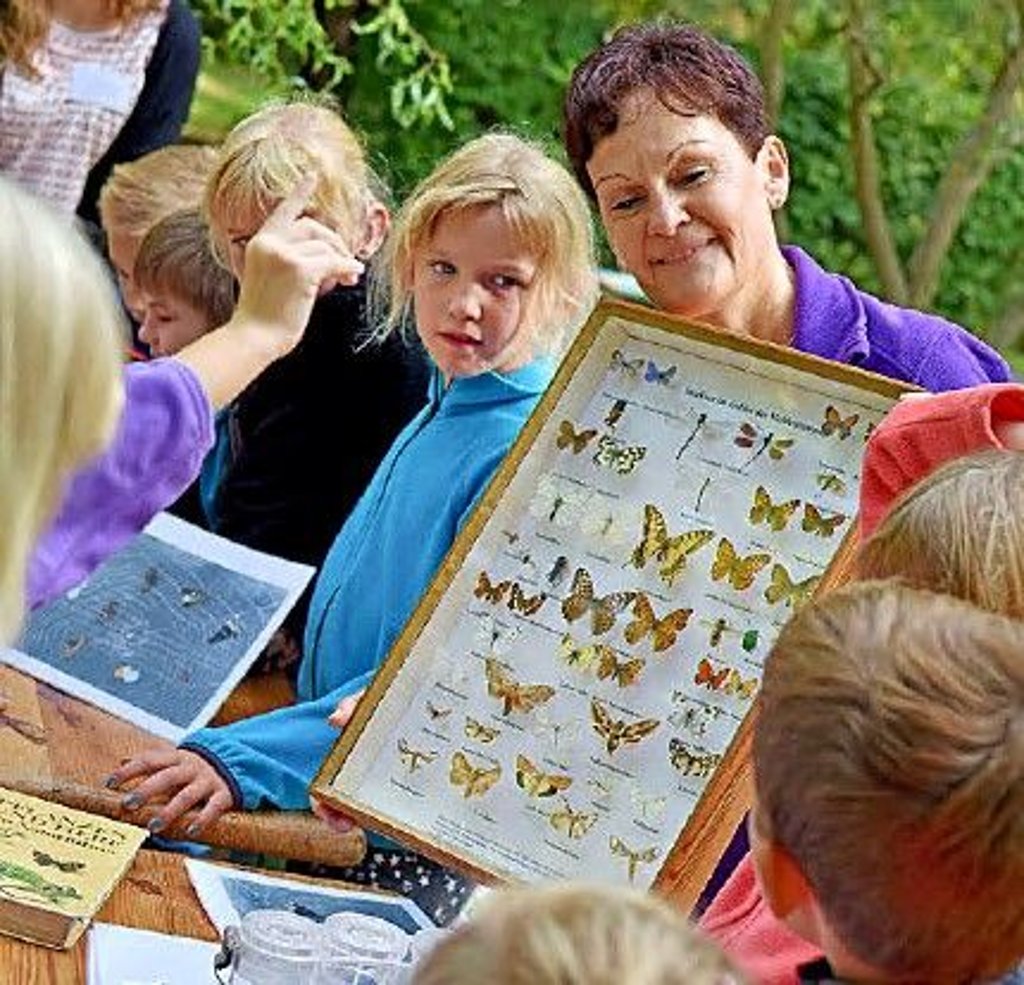 Wissenswertes über Umwelt und Naturschutz